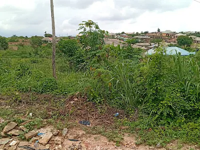 2 Plots of Land - 125FT by 70FT Each