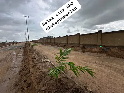 Buy and Build Plot