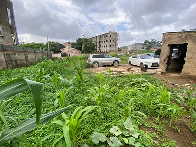1382SQM Commercial Land for Sale in Lifecamp