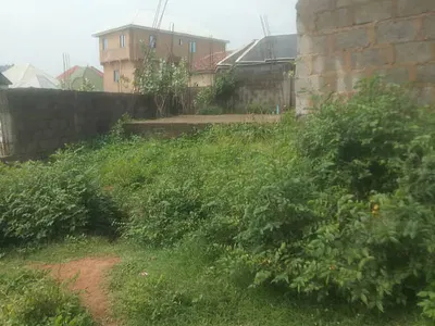 Land