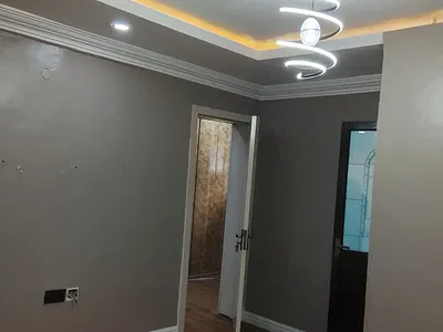 Luxurious Mini Flat