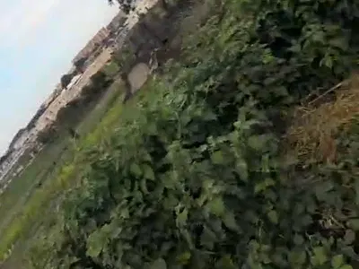 2000 Sq Meters of Land