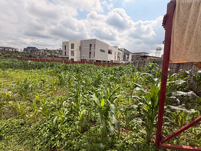 Prime 1200SQM Land
