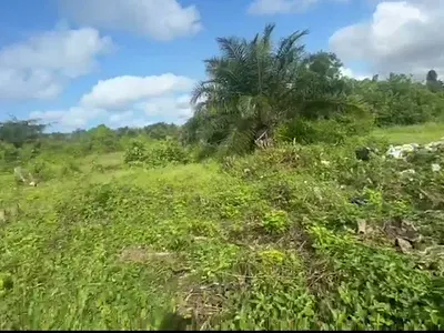 700SQM of Dryland Corner Piece with Governor's Consent