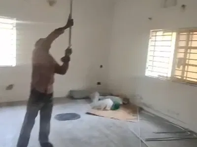 Renovated Mini Flat BQ