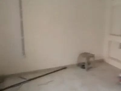 Renovated Mini Flat BQ
