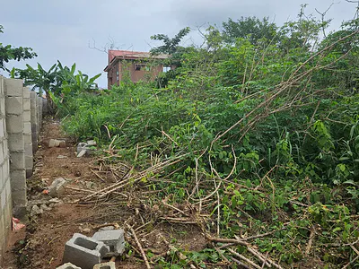 A Plot of Land at Government Scheme Off Isefun Road Ayobo Lagos