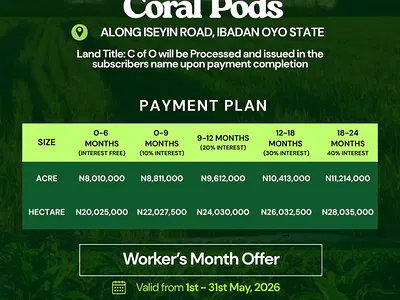 Already Existing Functioning Cocoa Plantation Farmland
