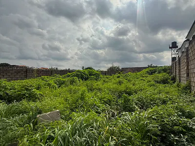 A Dream Living Estate with a 725SQM Land