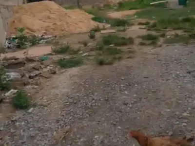 Full Plot of Land