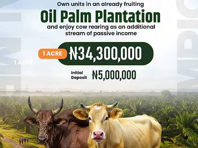 Fruiting Palm Plantation Land with Free Cattle Ranching Offer