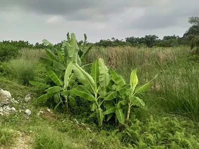 640SQM of Land by Lekki Garden Phase 2 Back Gate