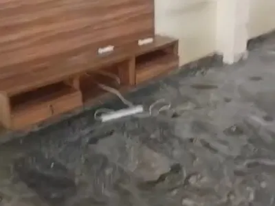 Standard 2 Bedrooms Flat
