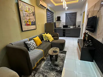 Fully Furnished Miniflat Available