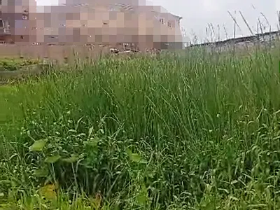 1, 475 SQM of Land