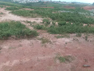 1 Hectare Land in a Liveable Area
