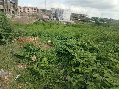 1 Hectare Land in a Liveable Area