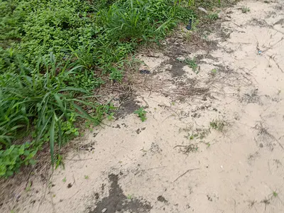Prime 2 Units 500 SQM Plot