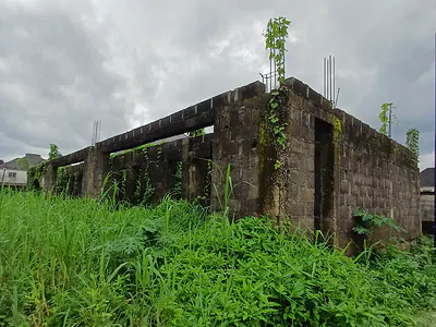 2 Plots of Land WT Structure