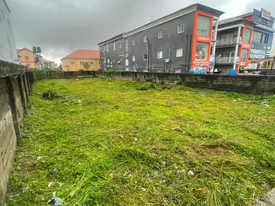 Prime 1000SQM Commercial Land Facing the Express