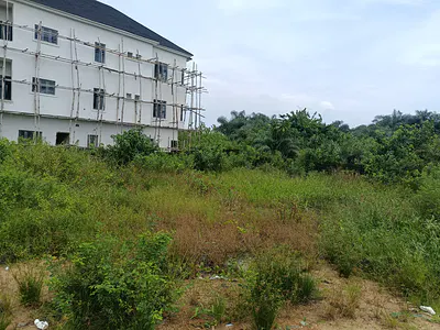 Registered and Well Fenced Plot of Land