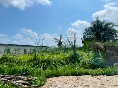 Prime Land for Sale Sunshine Estate, Sangotedo, Lekki