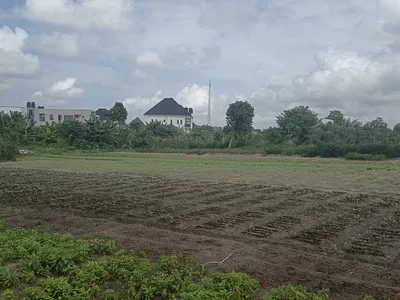 A Large Plot of Land