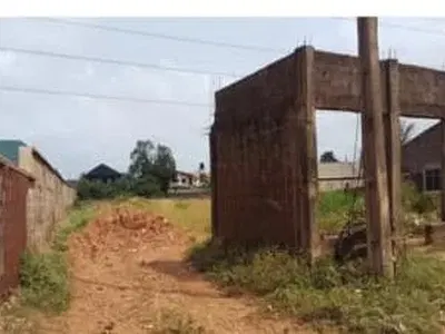 A Plot and Half Along Major Road
