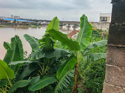 Own a Premium 500SQM Plot Located Behind River Valley Estate, Berger.