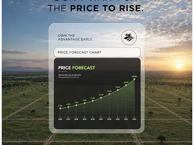 Premium Land with Cofo and Instant Allocation