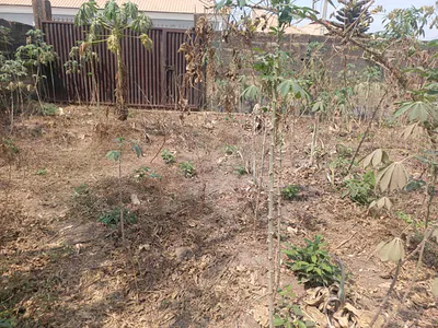 534SQM of Land