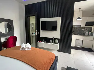Furnished Studio Apartment