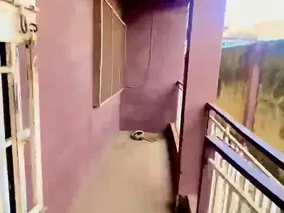 Nice & Spacious 3 Bedroom Apartment