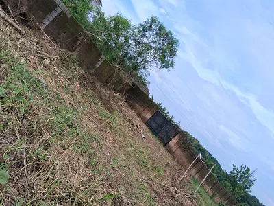 Landed Property in Serene Location