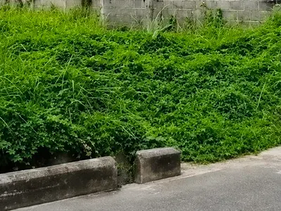 784SQM Bare Land, Ready to Build, in a Fully Serviced, Prestigious, Se