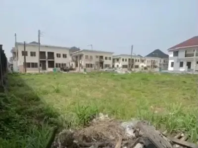 Bare Land