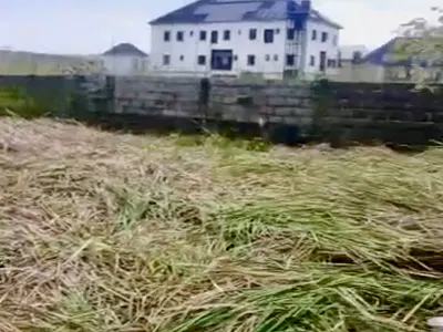 Plot of Land in a Serene Location