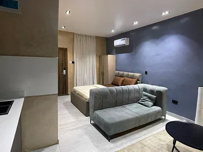 Newly Built Studio Apartment for Income and Great Roi
