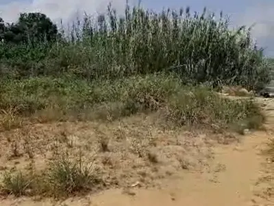 Strategic Plots of Land