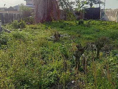Full Plot of Land