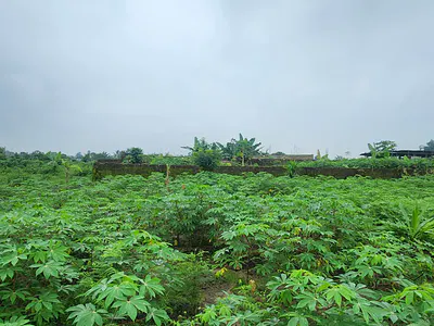 Strategically Located Plots of Dry Land