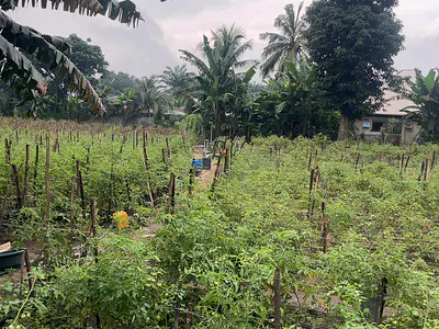 A Parcel of Land
