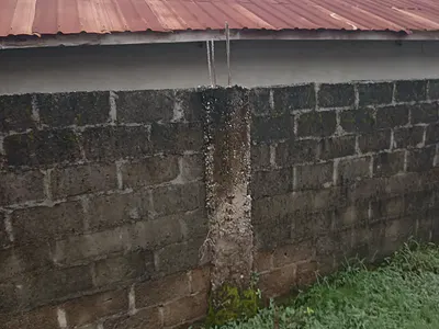 2 Full Plots of Dry Land