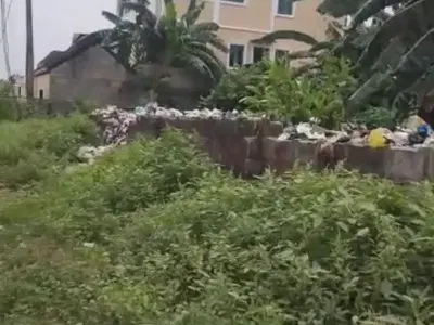 Half Plot of Land