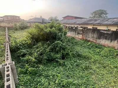 Well Located Half Plot of Land with Deed & Survey