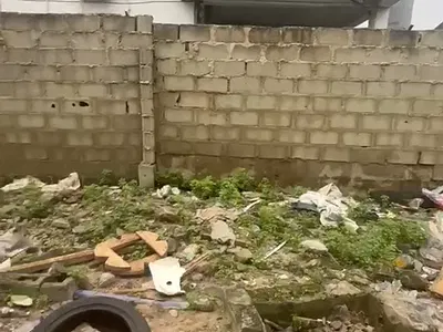 A Solid Half Plot of Dry Land