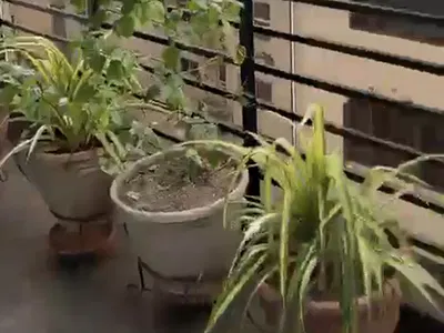 Furnished 4 Bedroom Apartment
