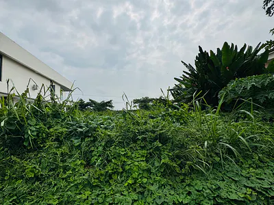 Prime 800 Square Meters Land