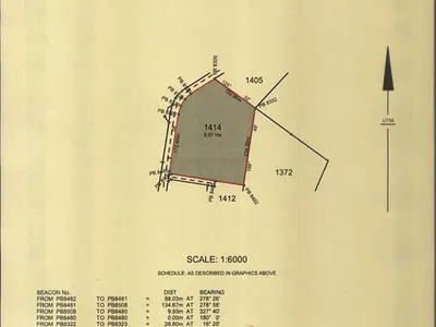 Comprehensive Development