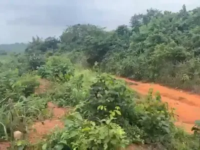 Very Fertile Farm Land